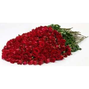 Send Fresh Cut Flowers   200 Long Stem Red Roses  Grocery 
