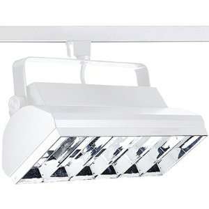    28 Alpha Trak Compact Fluorescent Wall Washer in Bright White Baby
