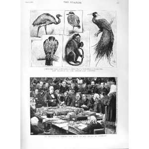   1882 BRADLAUGH HOUSE COMMONS ZOOLOGICAL GARDENS BIRDS