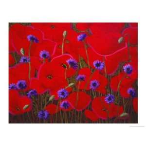  Poppies and Batchelor Buttons Giclee Poster Print by John 