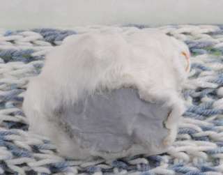 Unusual Toy OOAK white color fluffy long hair rabbit  