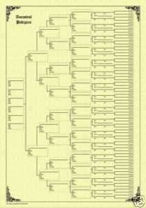Family Tree Chart 7 Generation Pedigree Parchment  