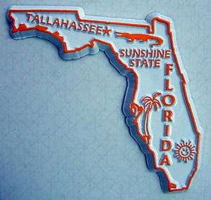 Florida The Sunshine State United States Fridge Magnet  