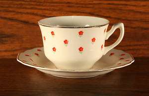 Tea Cup Saucer Set Blushing Rose W S George Lido USA  