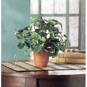 Evergreen Potted Plant 