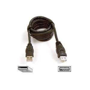   Extension Cable 10 Ft. Shielded Molded Gold Plated Connectors