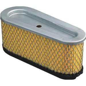  Replacement Air Filter 493909 Patio, Lawn & Garden