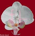 1X INDIVIDUAL LATEX PHALENOPSIS ORCHID FLOWERS WEDDING FLOWER DYO 