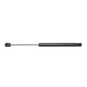  StrongArm 6502 Ford Focus, Hatch Lift Support, Pack of 1 