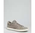 Tods tobacco leather sneakers   