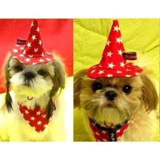HAT+SCARF PARTY dog birthday pet cone star PUPPY ZZANG  