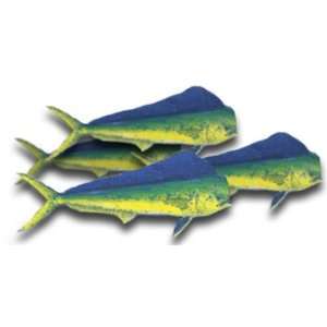 Mahi Mahi Fillet, 1 Pound Grocery & Gourmet Food