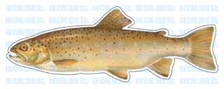 BROWN TROUT  Fish Decal  window sticker truck fishing  
