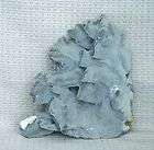 GORGEOUS LARGE FAN of Real BLUE CORAL 11x8.5x2.5 3 lbs