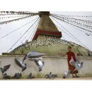  Young Buddhist Monk Outside a Temple Feeding Pigeons 