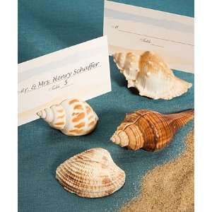   Collection shell design place card holders