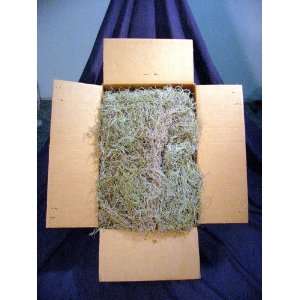  Spanish Moss Approx 28 lbs Arts, Crafts & Sewing
