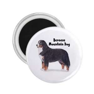  Bernese Mountain Dog Refrigerator Magnet