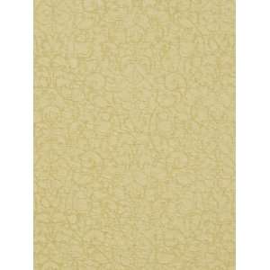  REGAL SPLENDOR IVORY